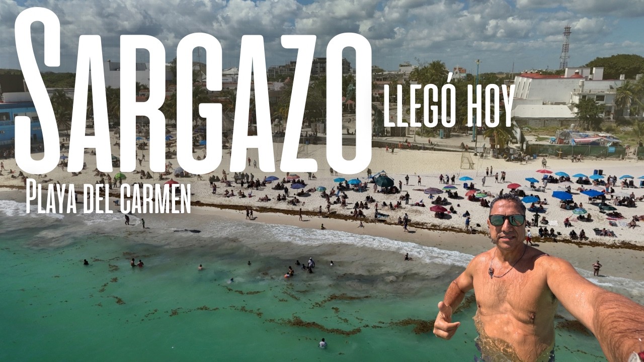 Llegó SARGAZO a Playa del Carmen 😮 pero mira el color del mar hoy | Rúa Carnaval al final 🎭