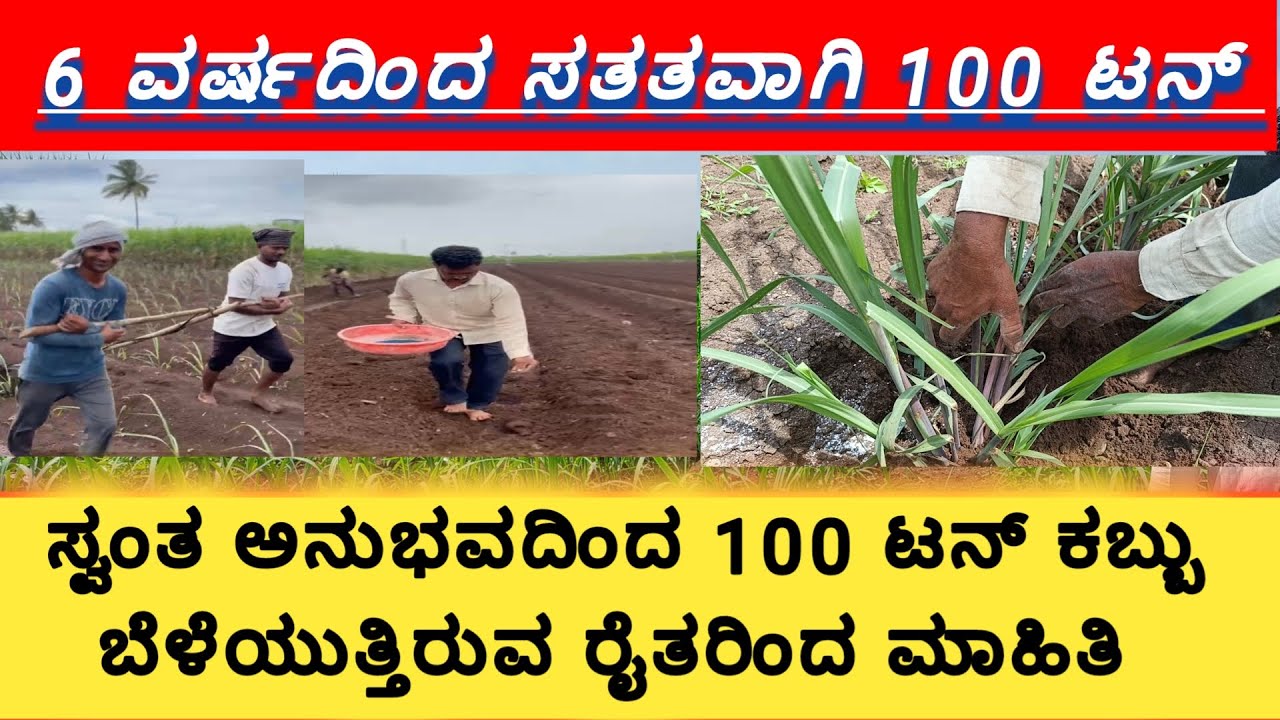 6 ವರ್ಷದಿಂದ ಸ್ವಂತ ಅನುಭವದಿಂದ 100 ಟನ್ ಕಬ್ಬು ಬೆಳೆಯುತ್ತಿರುವ ರೈತರಿಂದ ಮಾಹಿತಿ / sugarcen farming in kannada