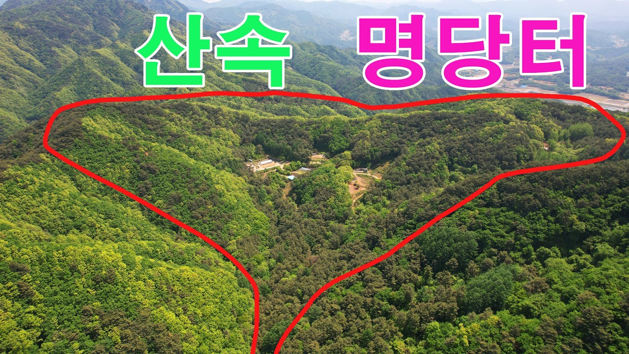홍천임도길 명당터 토지! 오지같은곳 산속에 매물안내ㅣ 국내 유일 토지 자부합니다~