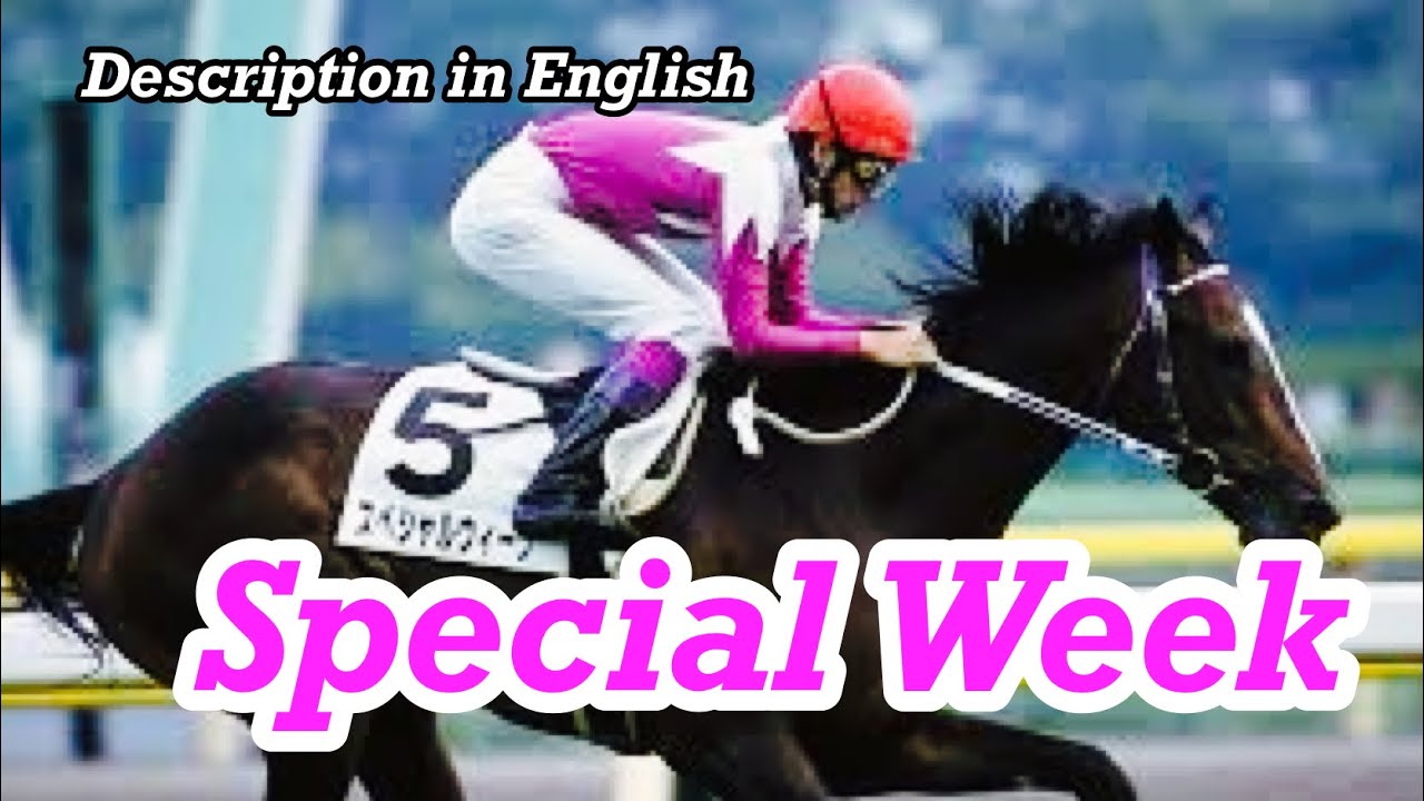 Japanese General - Special Week（スペシャルウィーク）