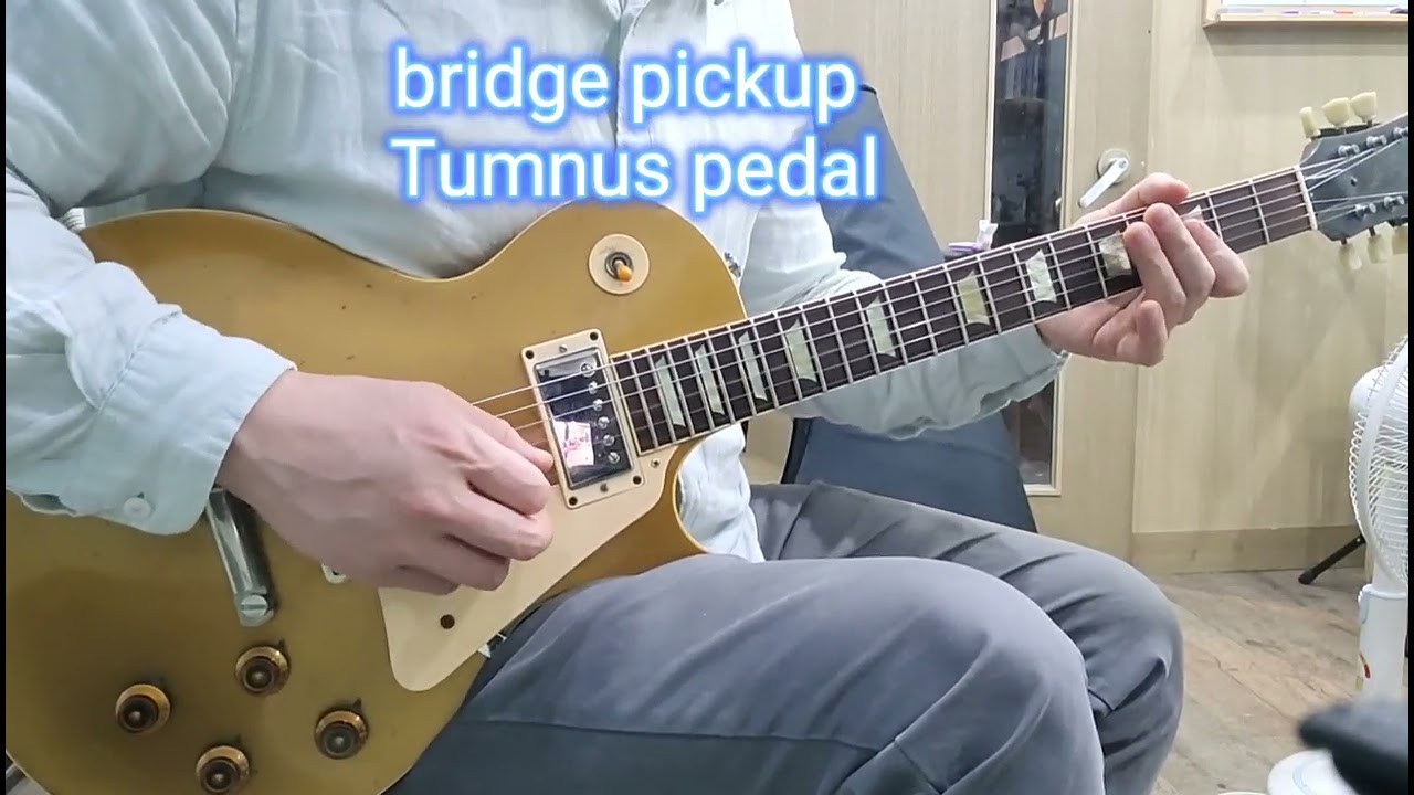 Custom bucker with Gibson pre historic goldtop. sample video