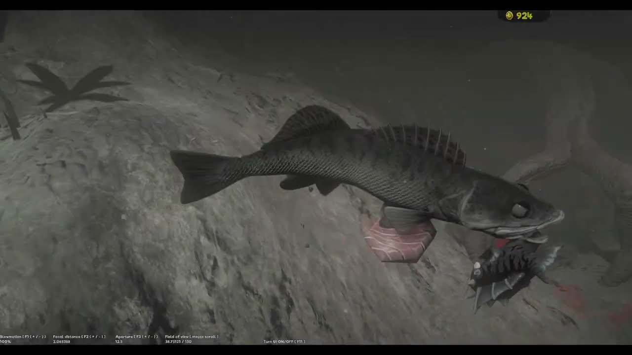 Feed and Grow Fish Gameplay! 🐟