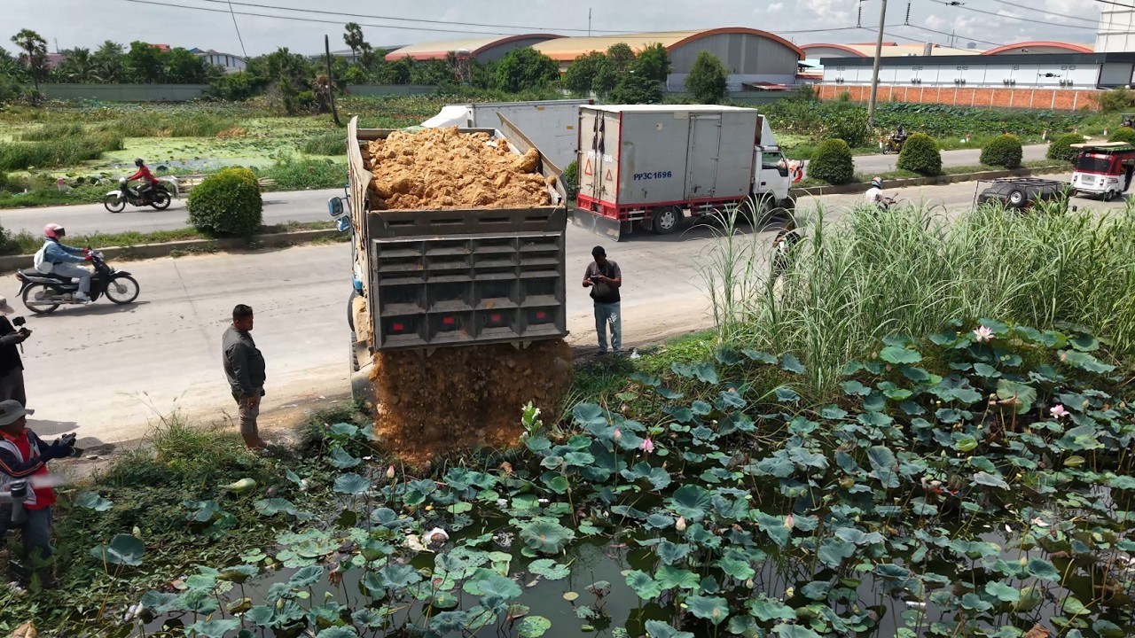 Perfectly Started New Project!DumpTruck 5Ton Fillland Delete Pond,Skill Dozer D31 Pushing soil water