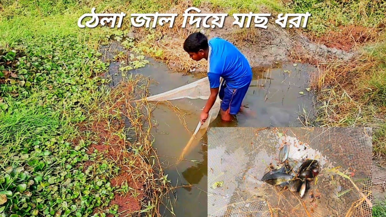 ঠেলা জাল দিয়ে গ্রামের ছোট বাচ্চাদের মাছ ধরা। মাছ ধরা। 🐬🐟🐠