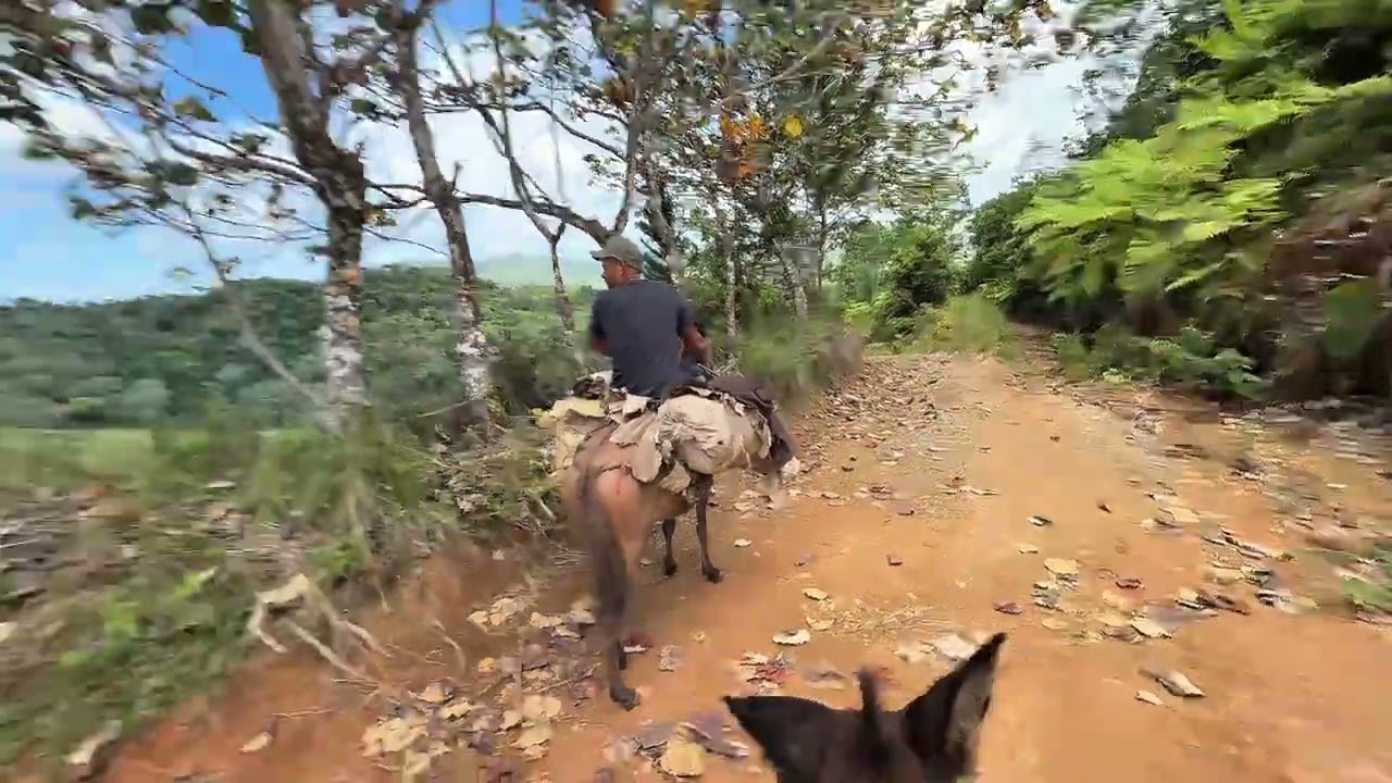 Finca en rancho abajo y un chapuzón en el Río Boba San Francisco de Macorís 