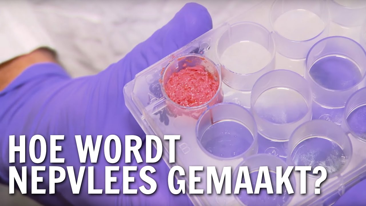 Hoe wordt nepvlees gemaakt? | De Buitendienst over vlees