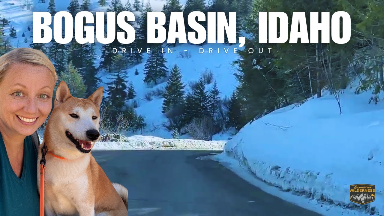 Scenic Drive to Bogus Basin Idaho | Peaceful Mountain Road & Boise Foothills
