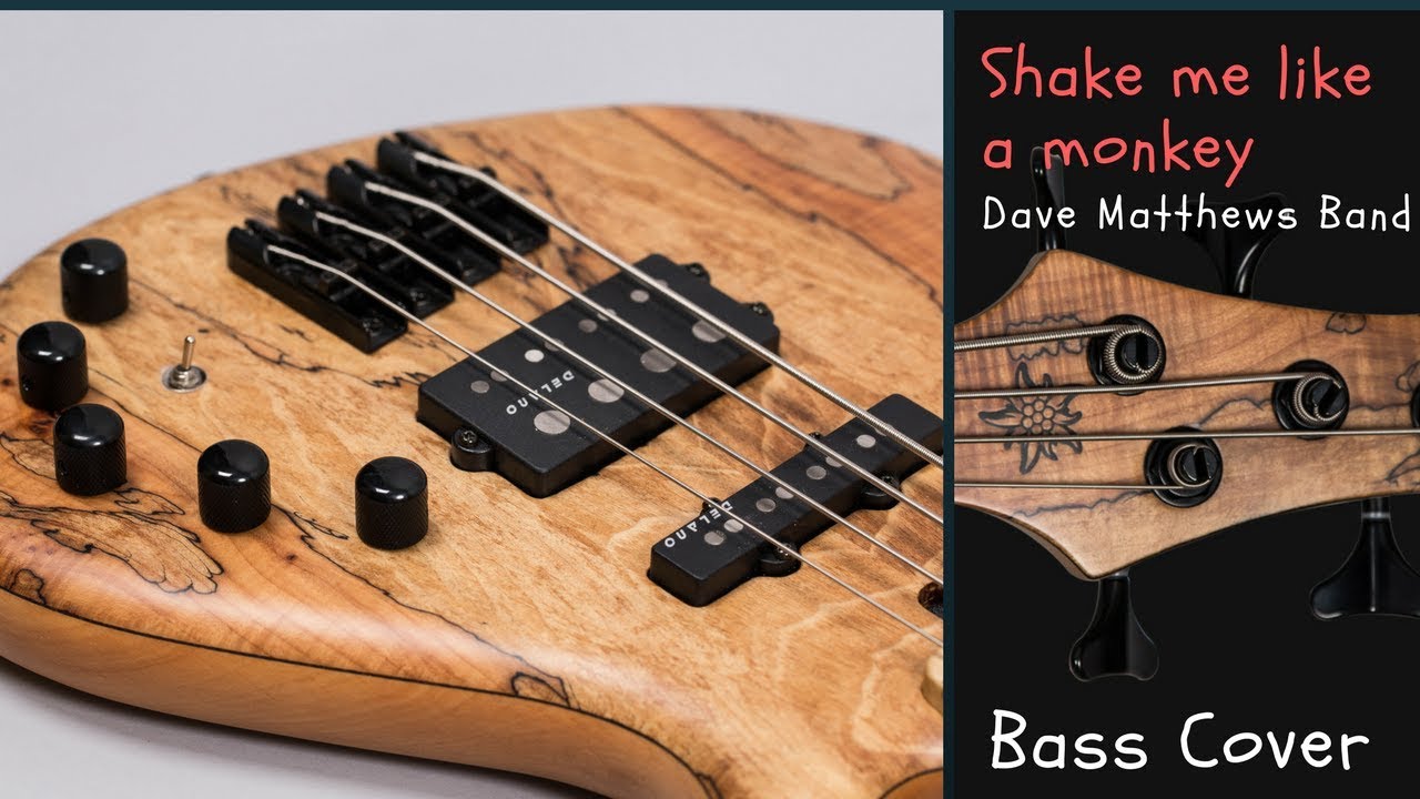 Dave Matthews Band - Shake me like a monkey - bass cover.