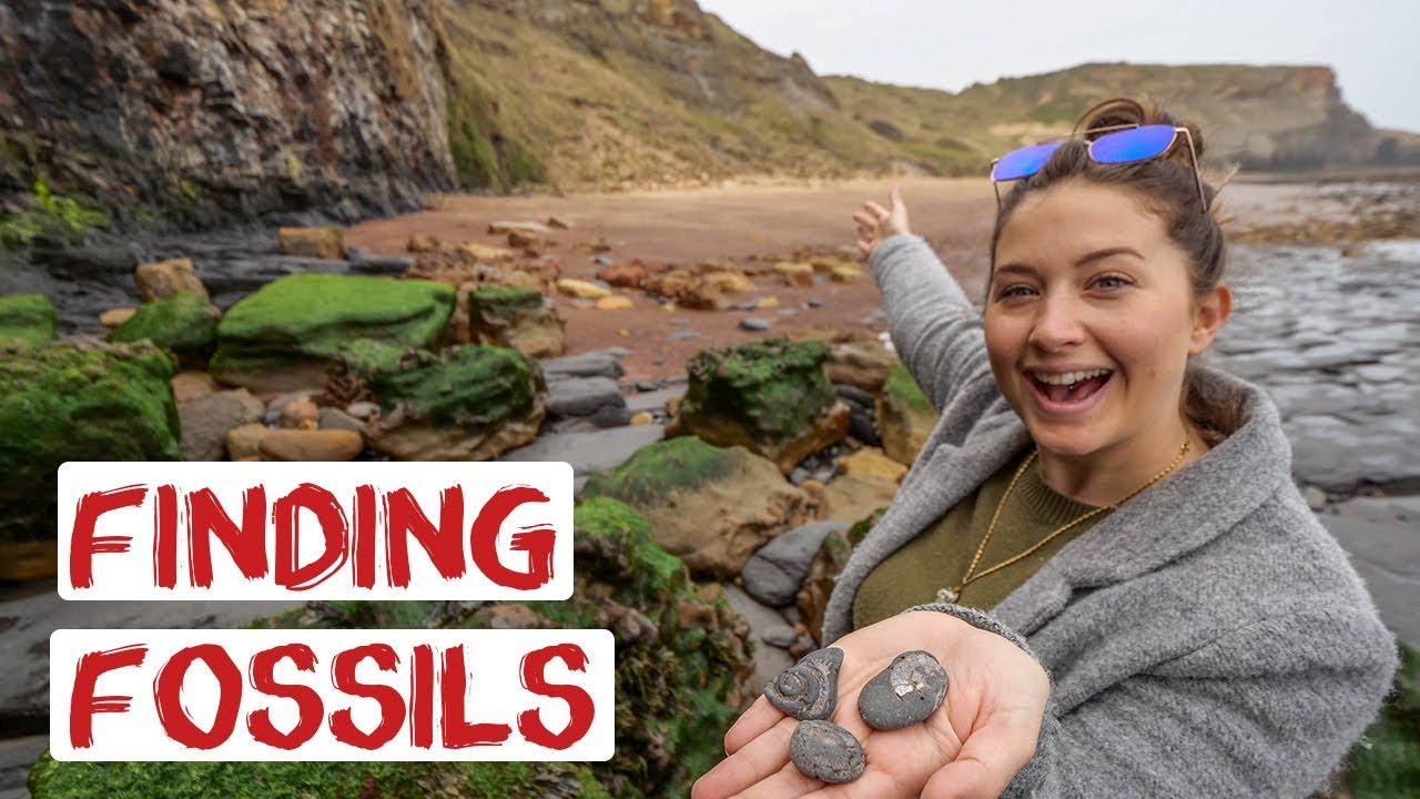 Finding Fossils In Whitby Yorkshire | Traditional Seaside Town | England Road Trip Travel Vlog 23