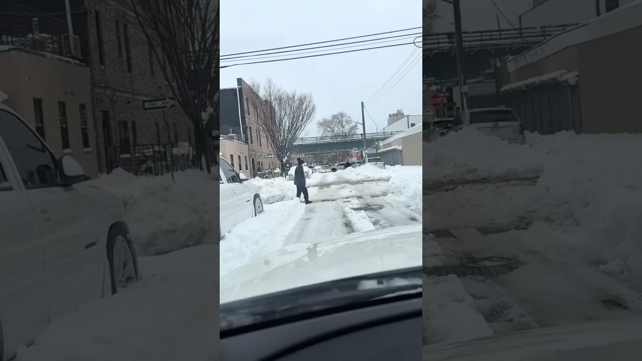 NYC Blizzard 2026 Brooklyn East New York Cypress Hills