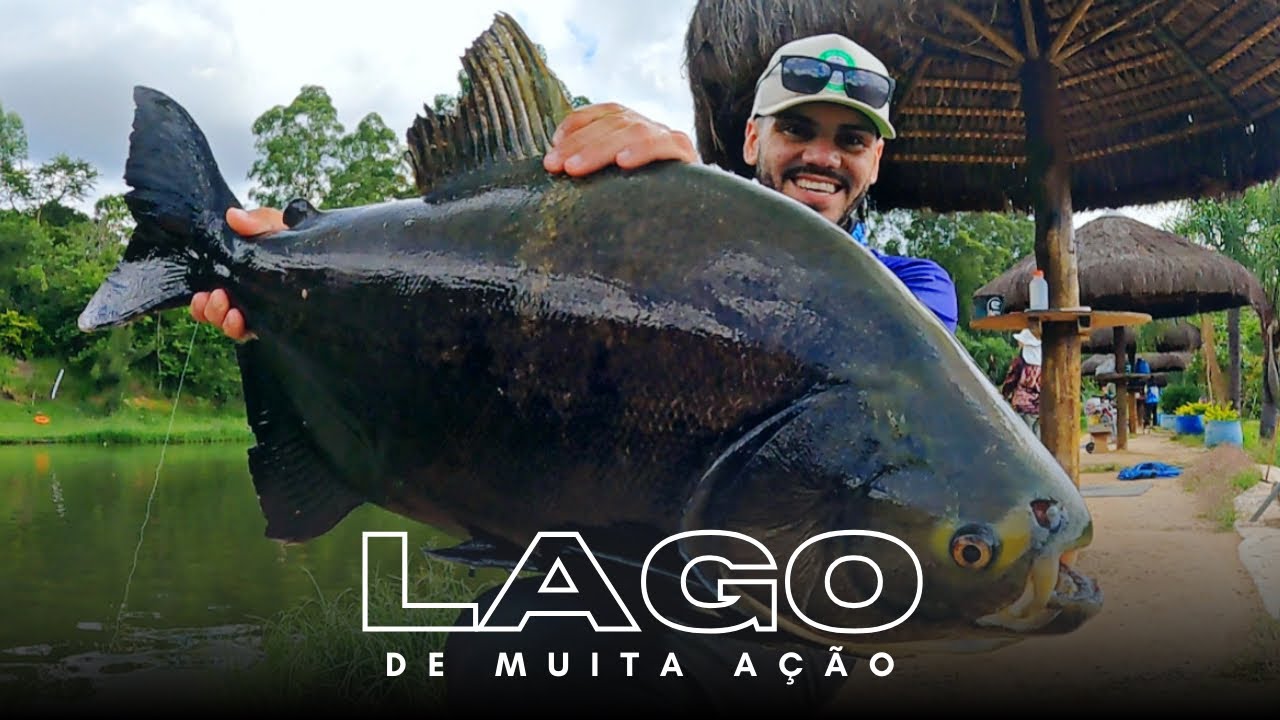 CONHEÇA O TANQUE 3 DA ENGORDA DO MAEDA!