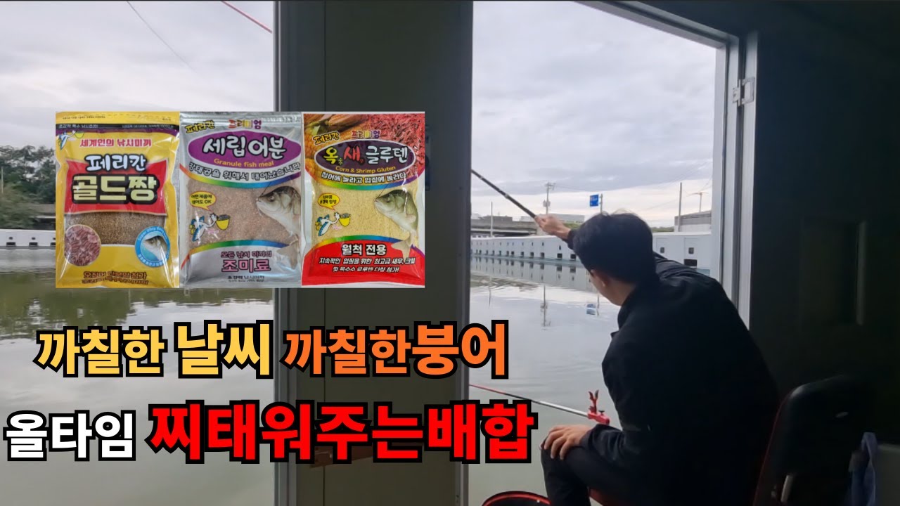 까칠해진 붕어들에게 이쁜 찌올림보는 떡밥레시피 - 화성낚시터