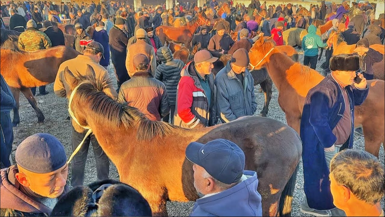 Сариосиё пайшанба от бозори
