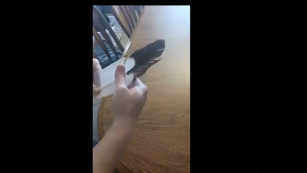 Native American Imitation Eagle Feathers by Two Eagles Legacy