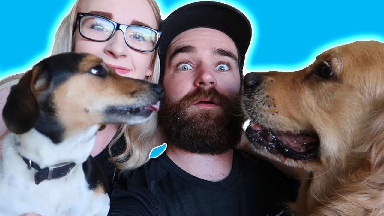 Testing Our Dogs Intelligence! - DOG IQ TEST!