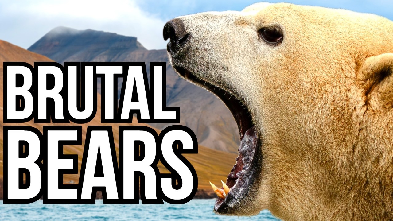Ranking All 8 Bear Species By The Largest Animals They Prey On