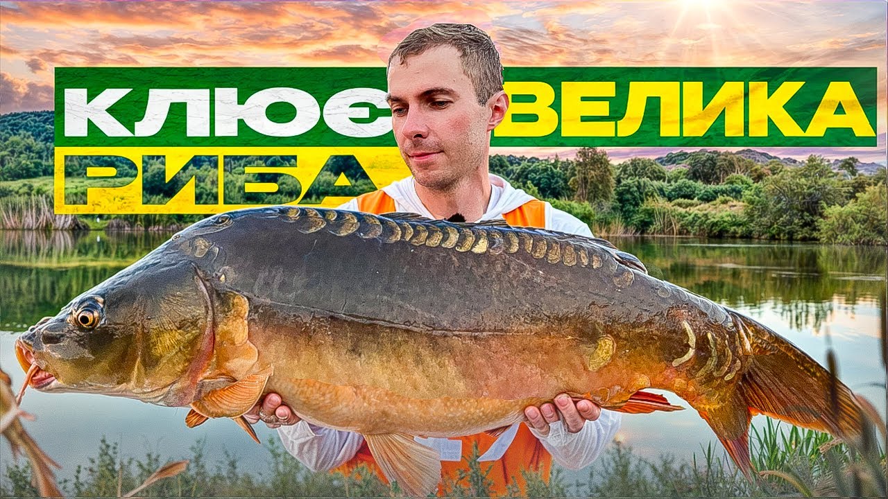 Як ловити велику рибу? Класичний карпфішинг, змагання, драма та валідол навіть після фінішу!