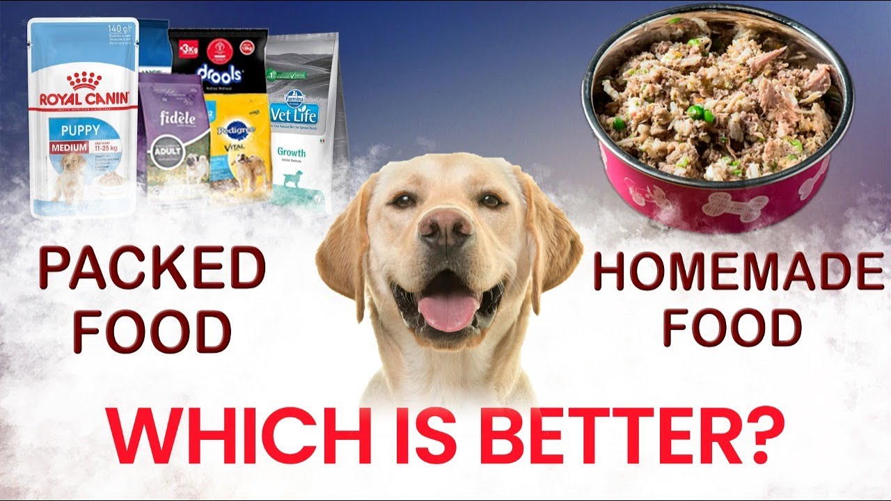 HOMEMADE DOG FOOD OR PACKED DOG FOOD? BY BAADAL BHANDAARI