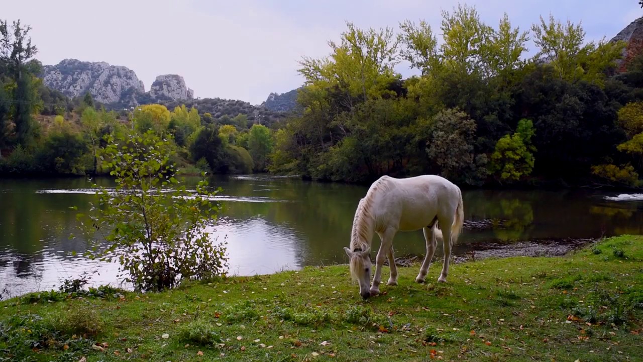 Desfiladero de los Tornos.Los ca&ntilde;ones del Ebro y Rudr&oacute;n. Cap 20. Actividad.