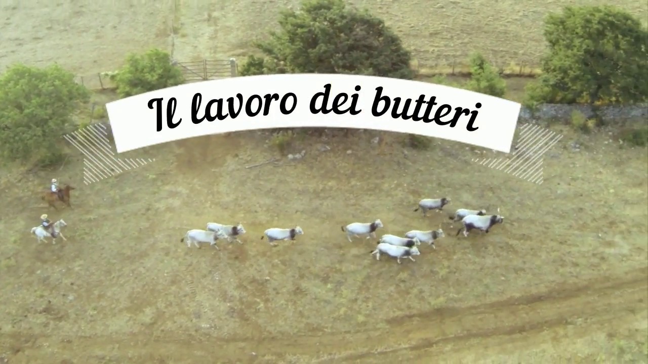 Il lavoro dei butteri