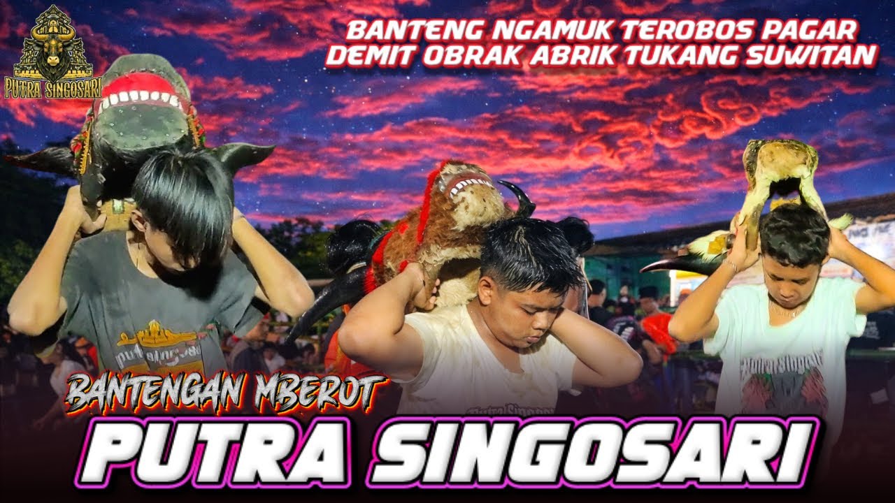 BANTENGAN BRINGAS‼️PUTRA SINGOSARI NGAMUK OBRAK ABRIK PENONTON