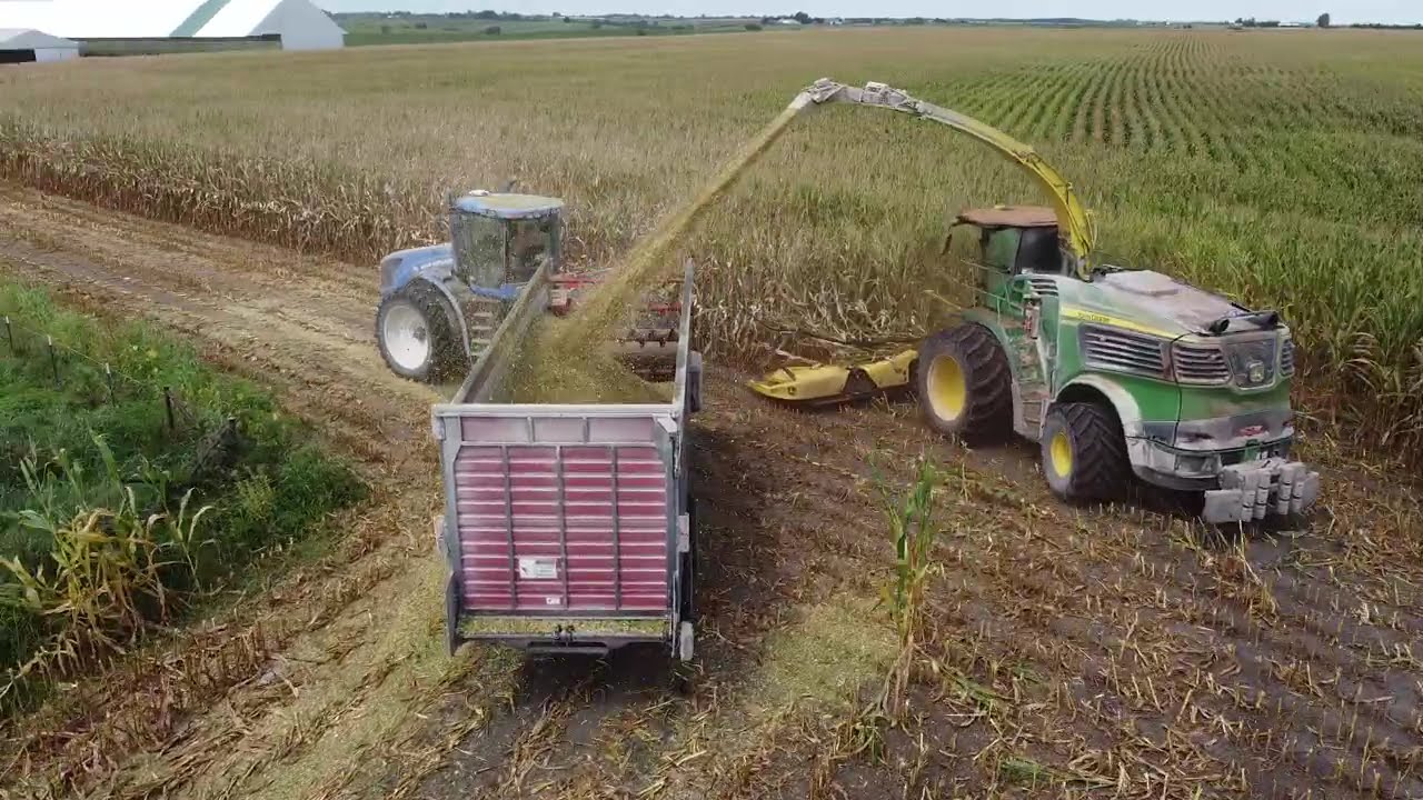 2025 Silage Harvest