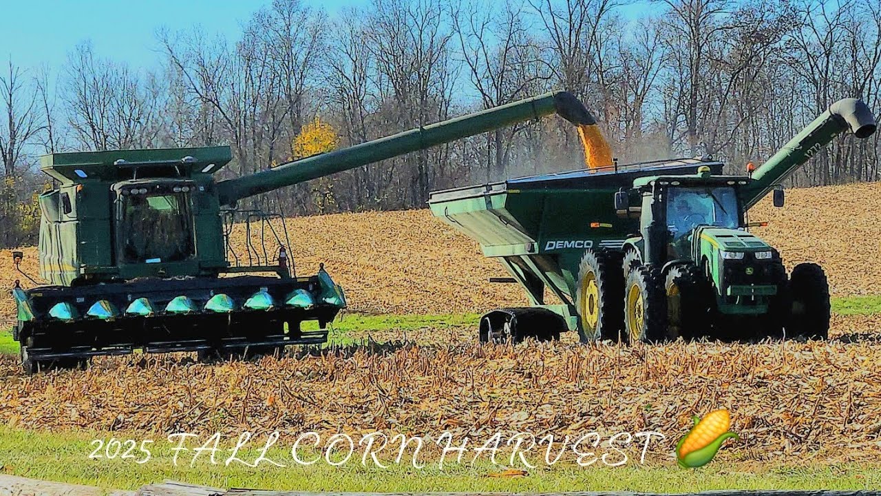 JOHN DEERE 9870 STS COMBINE SHELLING CORN WITH 8 ROW DRAGO CORN HEAD 2025 FALL CORN HARVEST 🌽 