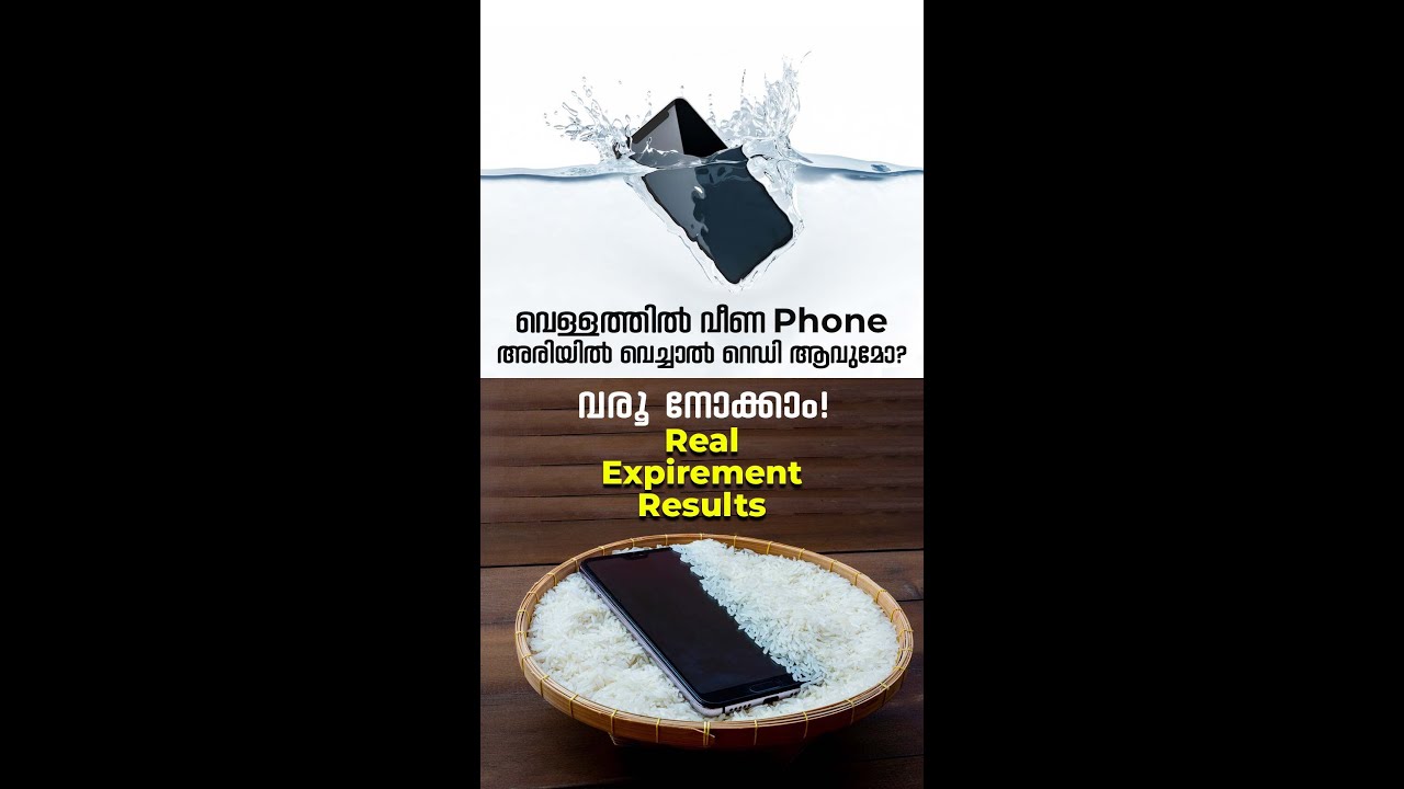 Phone വെള്ളത്തിൽ വീണാൽ എന്ത് ചെയ്യണം? Best Mobile Phone Service Center in Calicut | Cellphonix