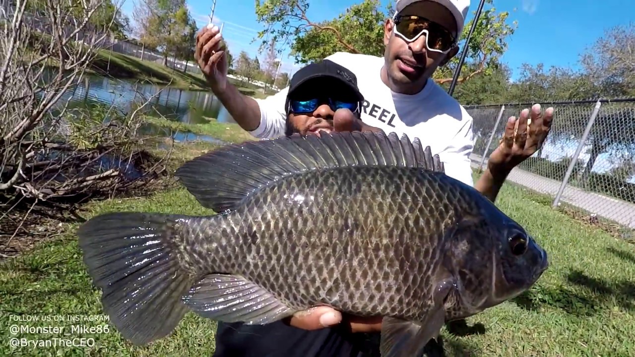 Pet Fish for POND + Catch Em All | Monster Mike Fishing