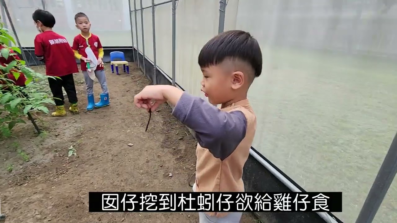 113- 例行性