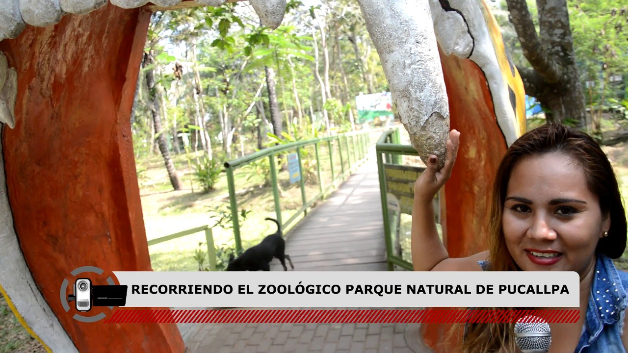 PARQUE NATURAL DE PUCALLPA 2019