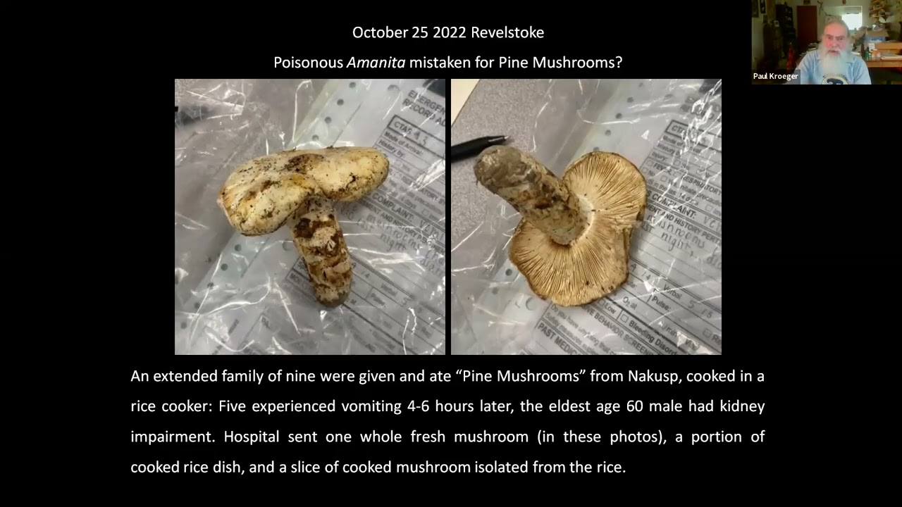 Paul Kroeger: Mushroom Mishaps and more