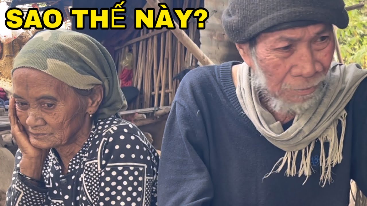 Già Rồi… Sao Thế Này? Câu Chuyện Khi Tuổi Già Không Ai Bên