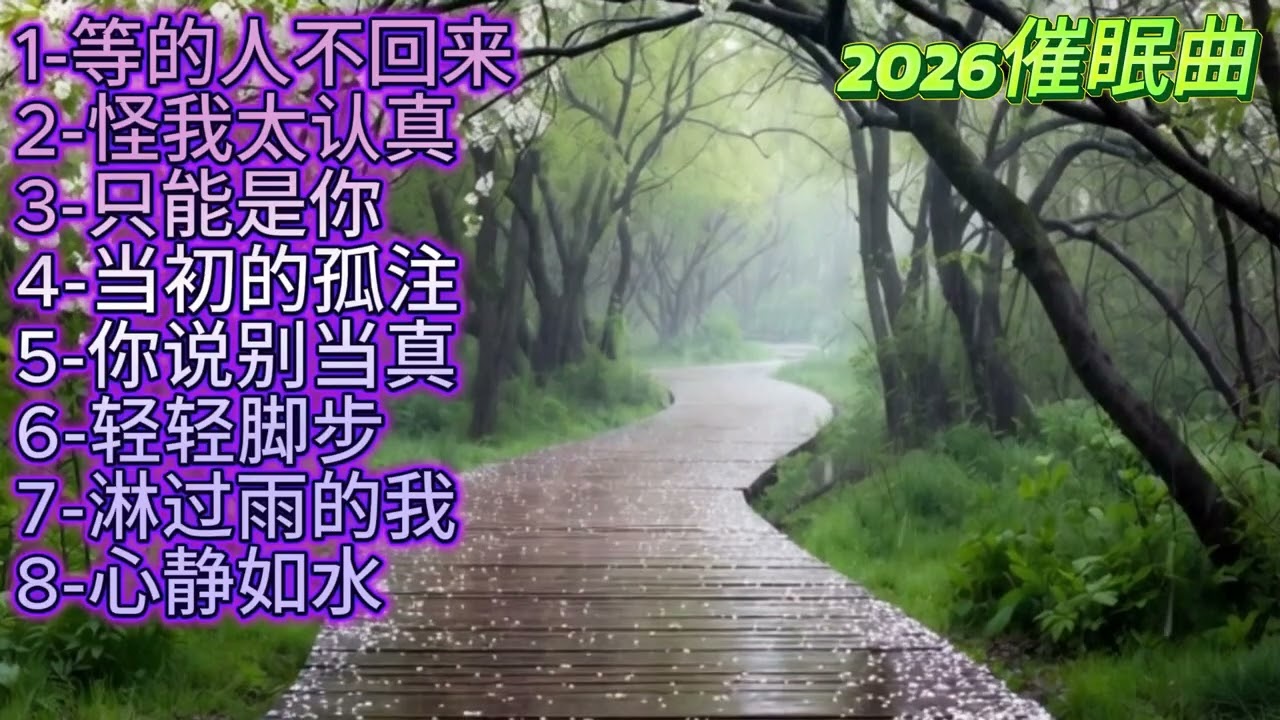 听不腻《等的人不回来》2026催眠曲#必听热门歌曲 #抖音 #抒情小曲集 #音樂 #疗愈歌曲