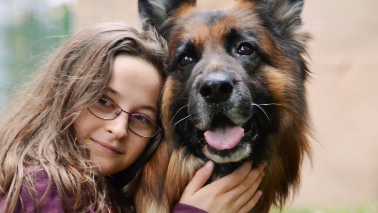 My angel ~ Tribute to my dog ~