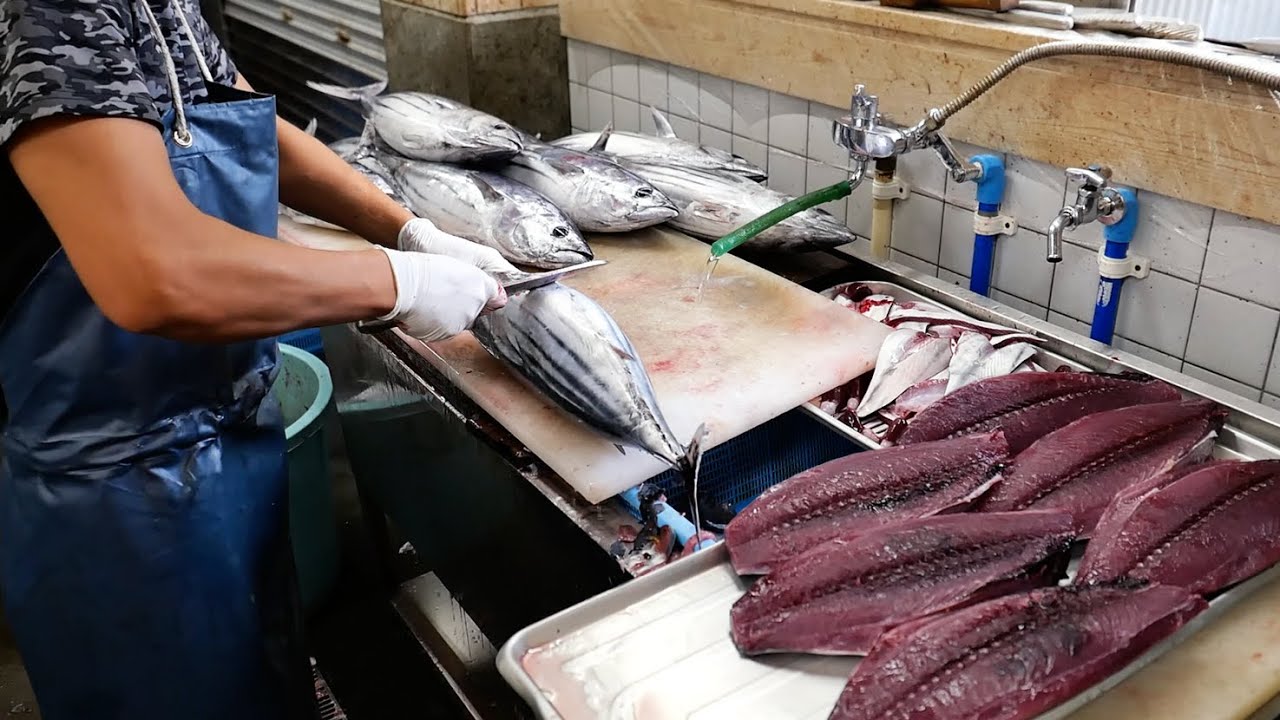 Японская еда – ЛУЧШЕЕ САШИМИ ИЗ БОНИТО в Коти! Тоса Курэ Морепродукты Япония