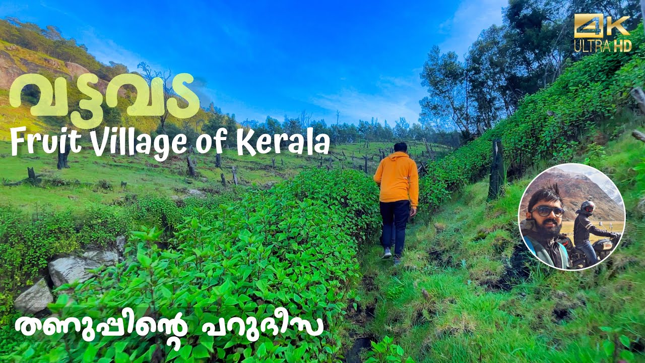 Vattavada | The fruit village of Kerala | Ep 3 of Idukki hill stations | Castillo De Woods