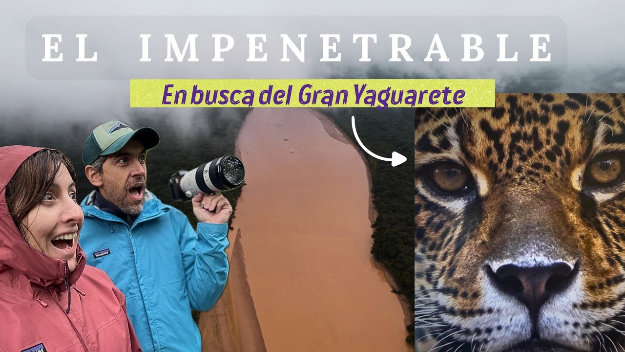 SAFARI por EL IMPENETRABLE donde acampamos en FAMILIA: ¿Cómo llegar? ¿Dónde dormir?