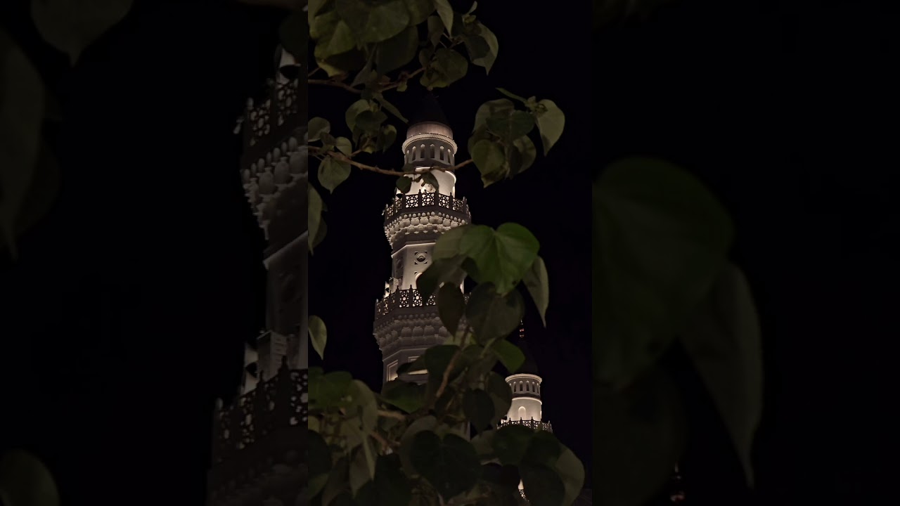 صلاة التراويح لــ الشيخ د. #نواف_المغذوي الليلة الرابعة والعشرون من رمضان 1447هـ 