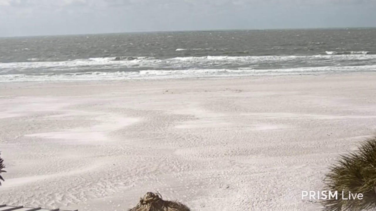 Gulf Of America Beach Livestream ⛱️ Live Camera Beach Live Now