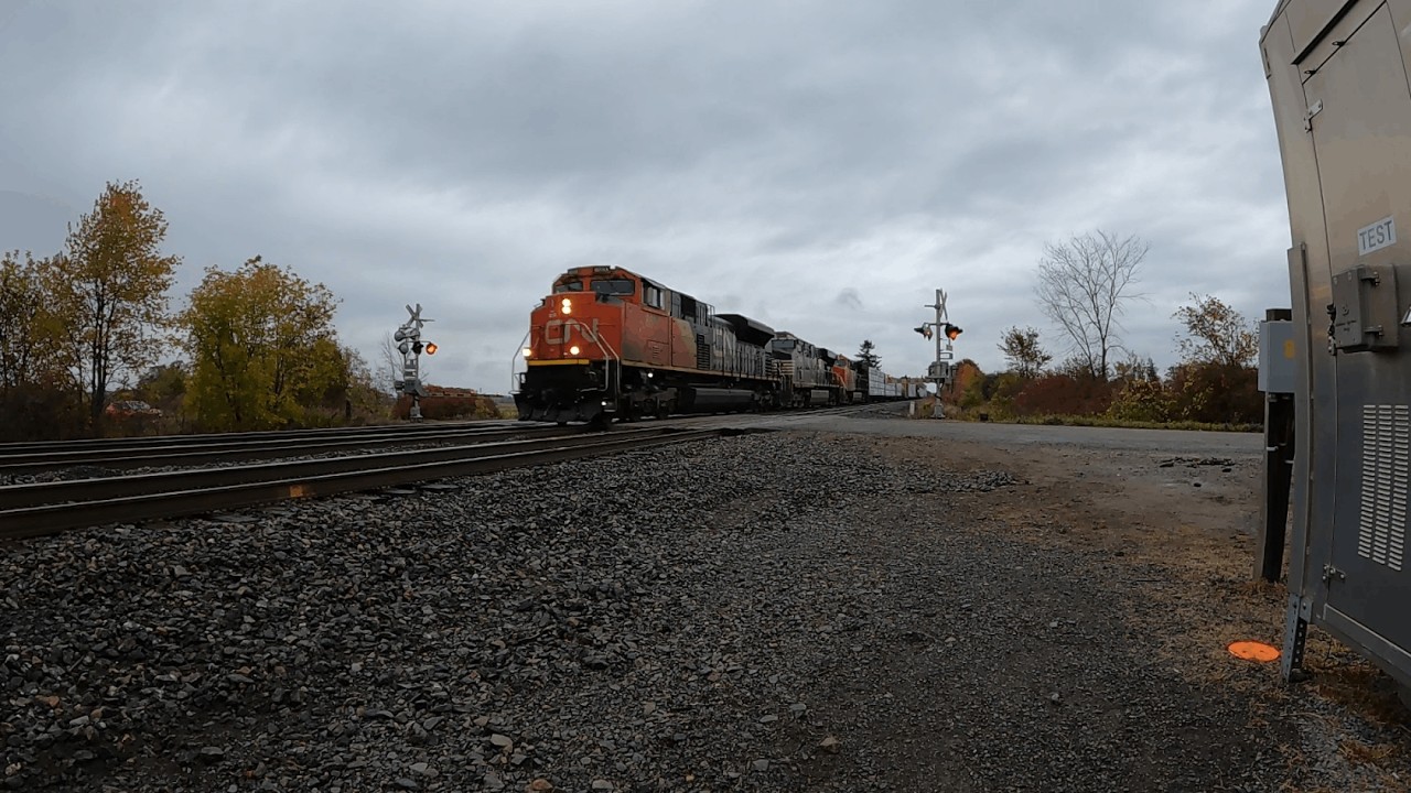 Fast! NS! CN M369 flies by Kidd road.
