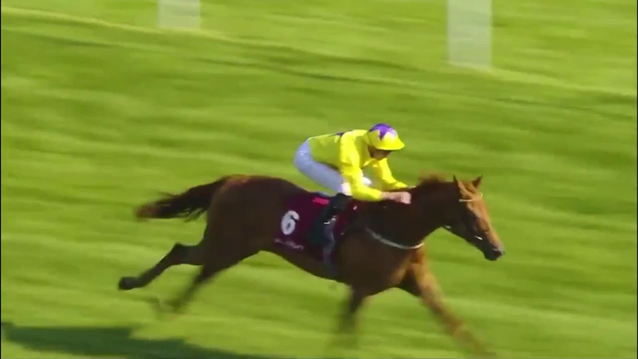 Sea Of Class tribute video