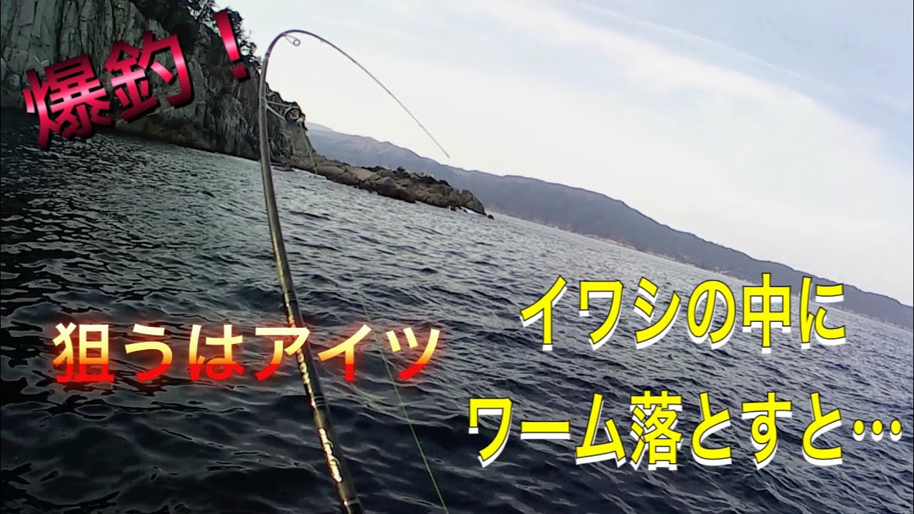 三陸　冬の　ロックフィッシュ