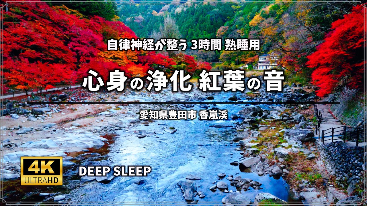 【睡眠用BGM 3時間】即座に寝落ちする「癒しの紅葉」｜香嵐渓、心身を浄化するせせらぎ音 ASMR｜Nature Sounds