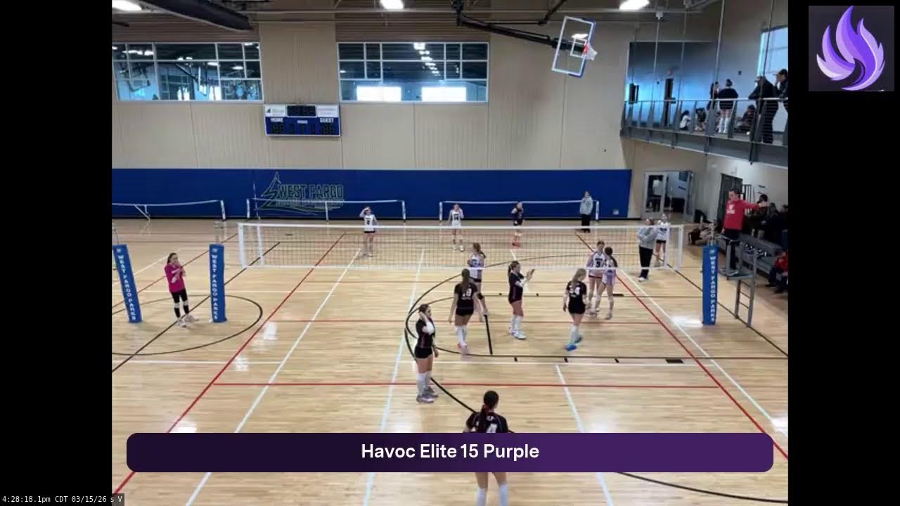 Havoc Elite 15 Pur (2026.03.15)