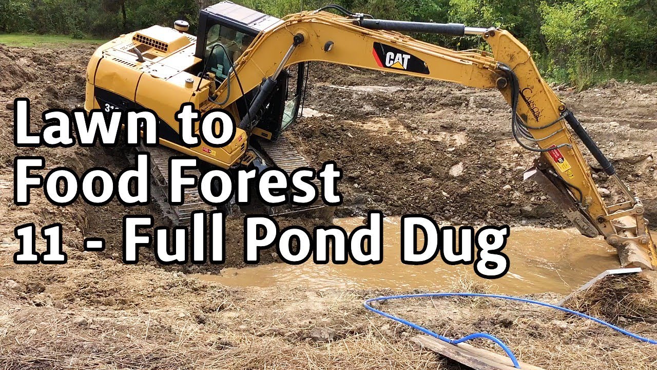 Lawn to Food Forest - 11 - Pond Install