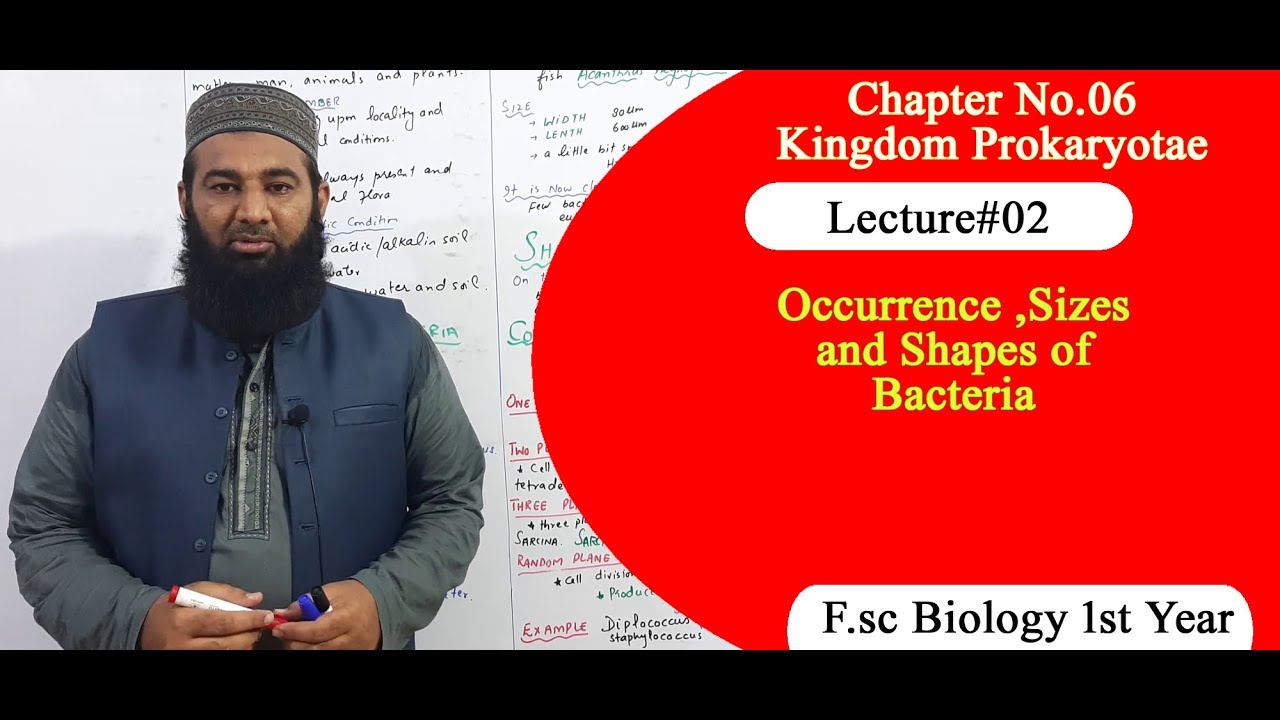 Biology Ch#06-Lecture#02 Occurrence and size of bacteria   (F.Sc 1st Year)