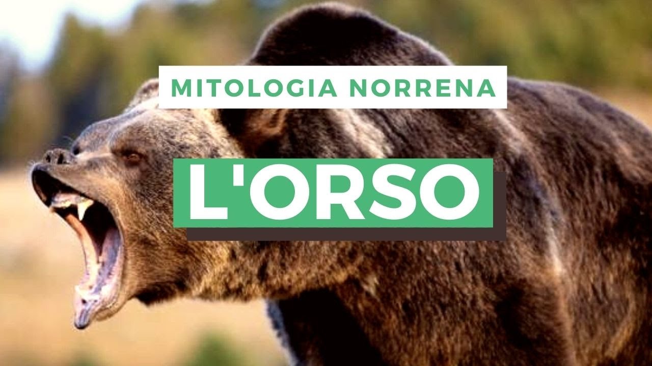MITOLOGIA NORRENA: L'ORSO