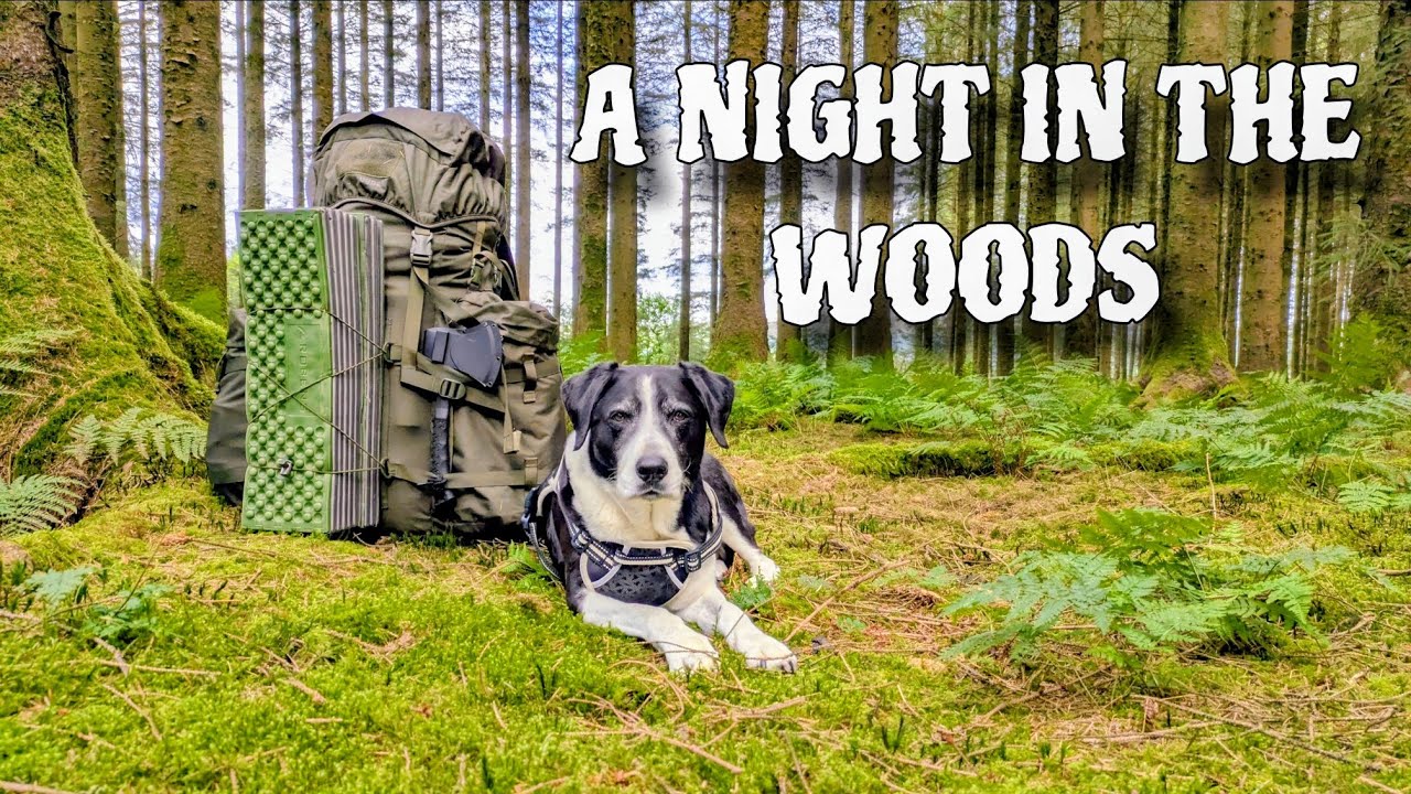 A Relaxing Night next to a Fire in the Woods