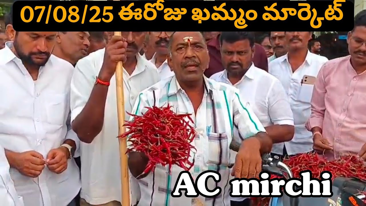07.08.25 Today khammam market yard prices ఖమ్మం మార్కెట్ యార్డ్ ధరలు #khammam #mirchi #chili #ac 